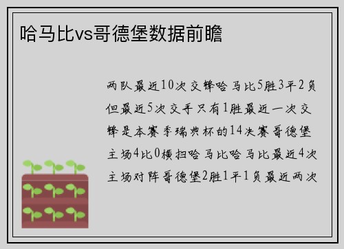 哈马比vs哥德堡数据前瞻