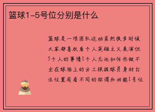 篮球1-5号位分别是什么